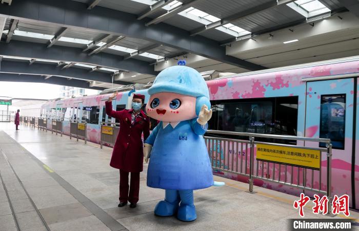 坐上地铁去赏花 武汉“樱花地铁专列”上线