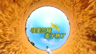 寻美兰陵，麦子熟了